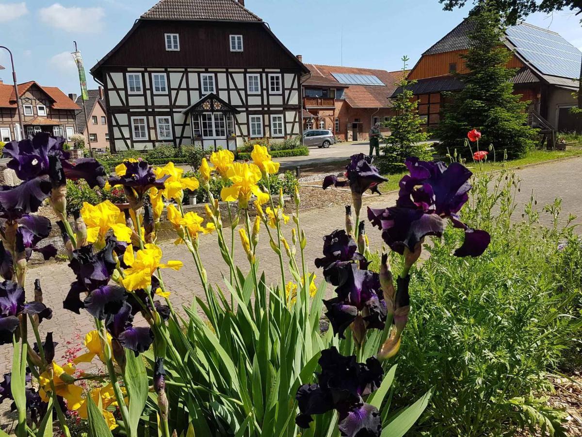 Müllers Hof Ferienwohnung/Pension Emmerthal Exterior foto